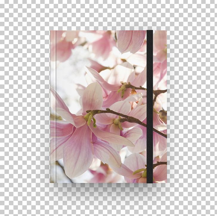 Floral Design Flower Cherry Blossom Petal PNG, Clipart, Blossom, Cherry, Cherry Blossom, Flora, Floral Design Free PNG Download