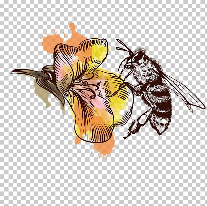 Honey Bee Illustration PNG, Clipart, Adobe Illustrator, Art, Arthropod, Bee, Bee Hive Free PNG Download