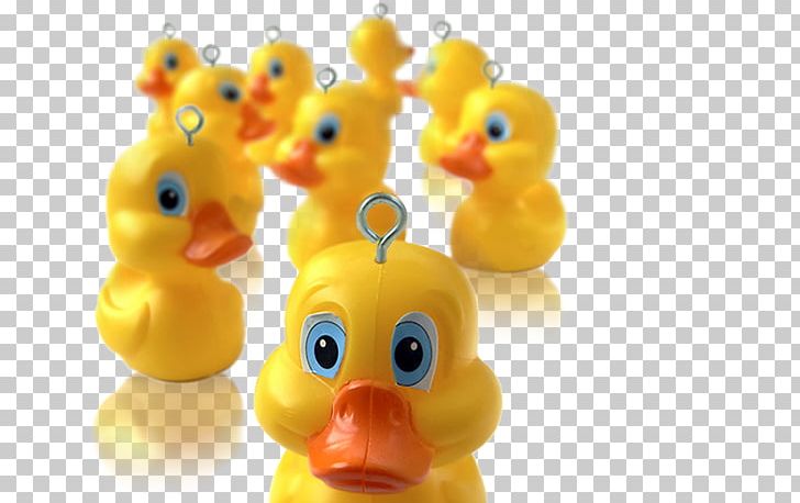Hook-a-duck S United States Secret Service Toy PNG, Clipart, Beak, Bird, Business, Duck, Duck Logo Free PNG Download