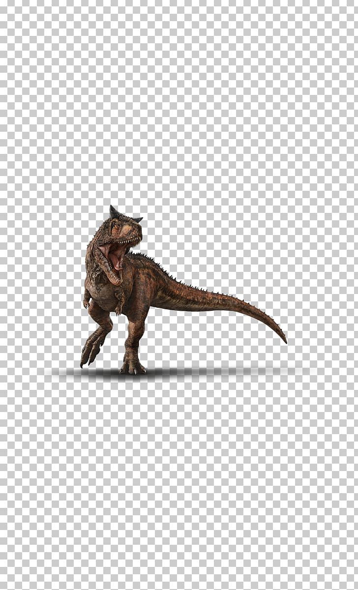 Velociraptor Dinosaur Tyrannosaurus Indoraptor Carnotaurus PNG, Clipart, Amino, Artist, Carnotaurus, Credit, Dinosaur Free PNG Download