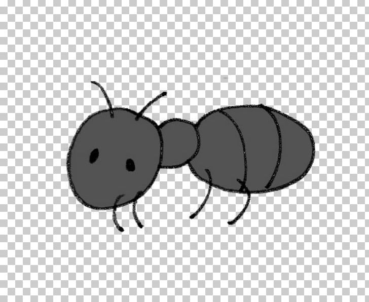 Ant Insect Termite 働きアリの法則 昆虫生态学研究 PNG, Clipart, Animal, Animals, Ant, Arthropod, Beetle Free PNG Download