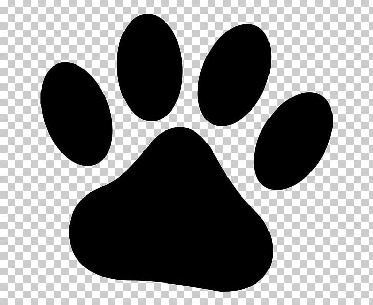 Paw Dog Cougar PNG, Clipart, Animals, Animal Track, Black, Black And White, Clip Art Free PNG Download