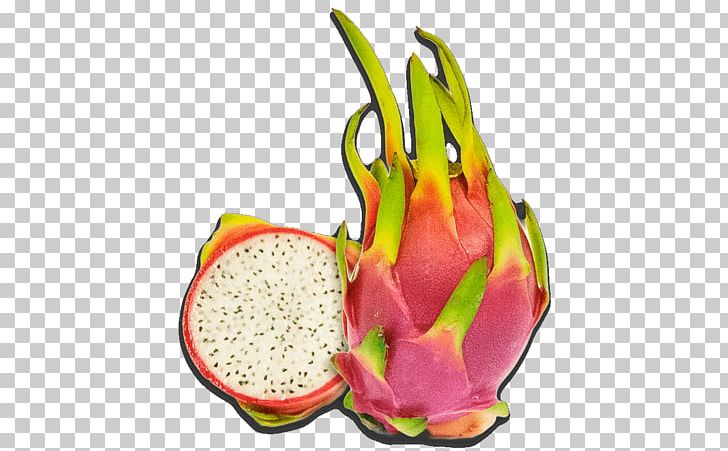 Pitaya Fruit Food Central America Mexico PNG, Clipart, Americas, Central America, Diet, Diet Food, Food Free PNG Download