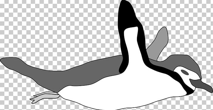 Emperor Penguin Bird Swimming PNG, Clipart, Arm, Beak, Bird, Black, Black And White Free PNG Download
