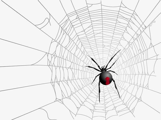 Spider Web Spider PNG, Clipart, Animal, Crawl, Picture, Png, Png Picture Free PNG Download