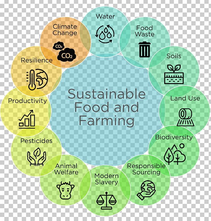 Sustainability Food And Farming Sustainable Agriculture Sustainable Development PNG, Clipart, Agriculture, Area, Ball, Brand, Circle Free PNG Download