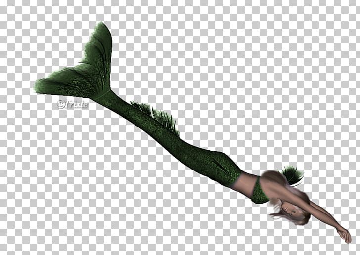 Mermaid Tail Finger PNG, Clipart, Arm, Erin, Fantasy, Finger, Grass Free PNG Download