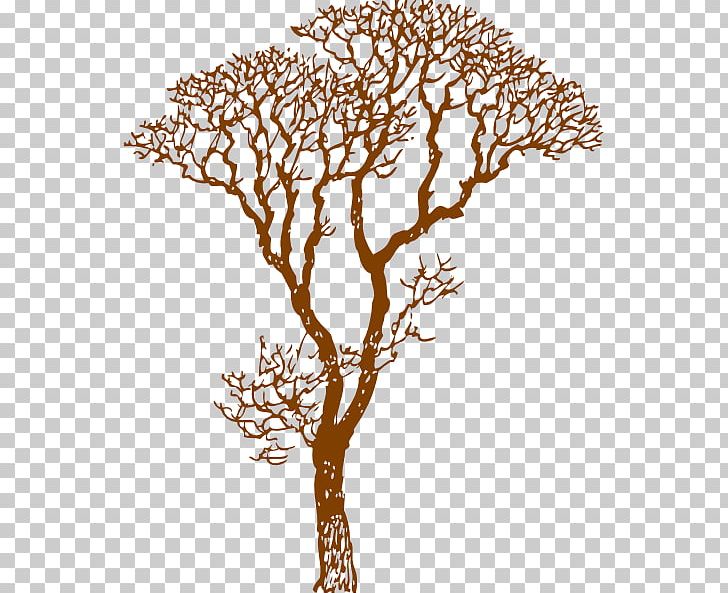 Tree Wall Decal Branch Drawing PNG, Clipart, Branch, Cedar, Cedar Tree Drawing, Drawing, Flora Free PNG Download
