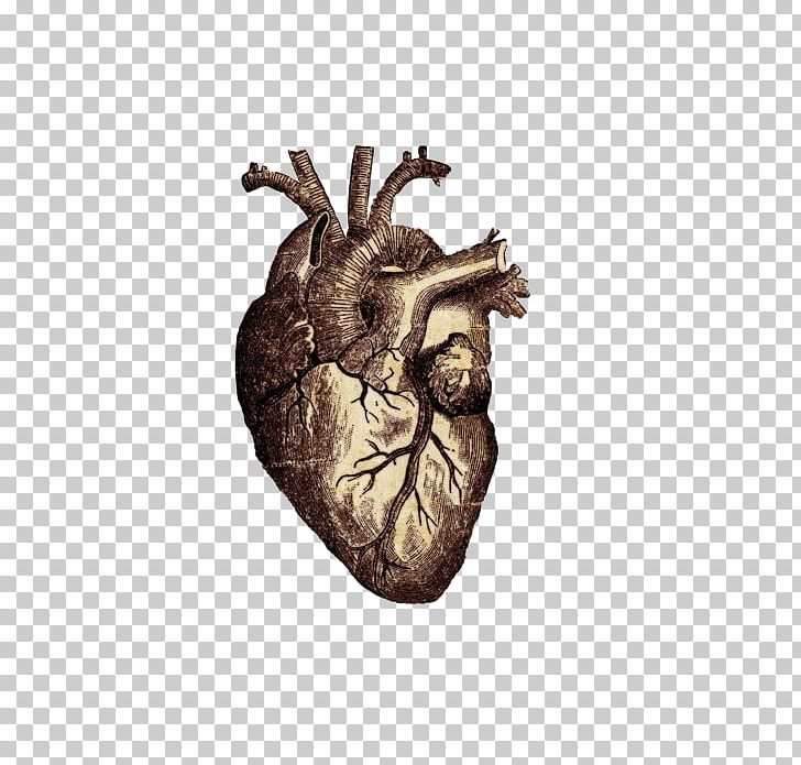 Vitruvian Man Heart Human Anatomy Human Body PNG, Clipart, Anatomy, Art, Biology, Broken Heart, Characteristic Free PNG Download