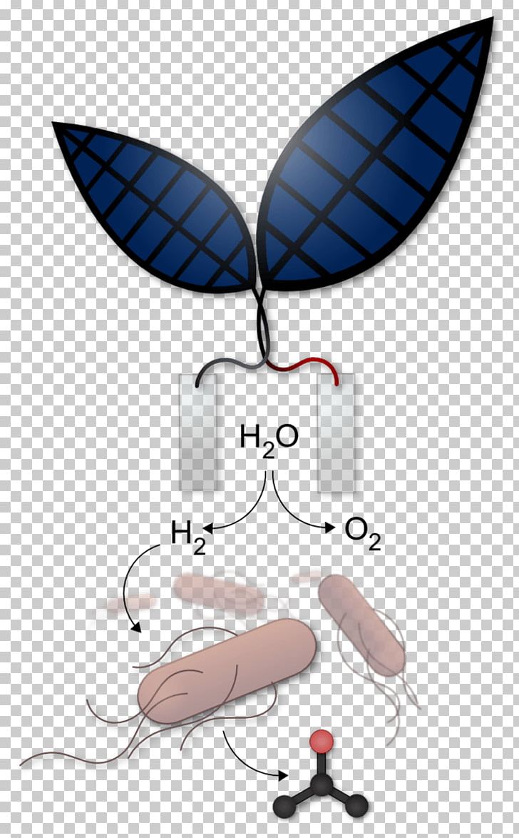 Artificial Photosynthesis Energy Leaf Sunlight PNG, Clipart, Artificial Photosynthesis, Bionics, Electricity, Energy, Fuel Free PNG Download