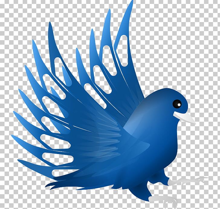 Beak Cobalt Blue Feather PNG, Clipart, Animals, Beak, Bird, Blue, Cobalt Free PNG Download