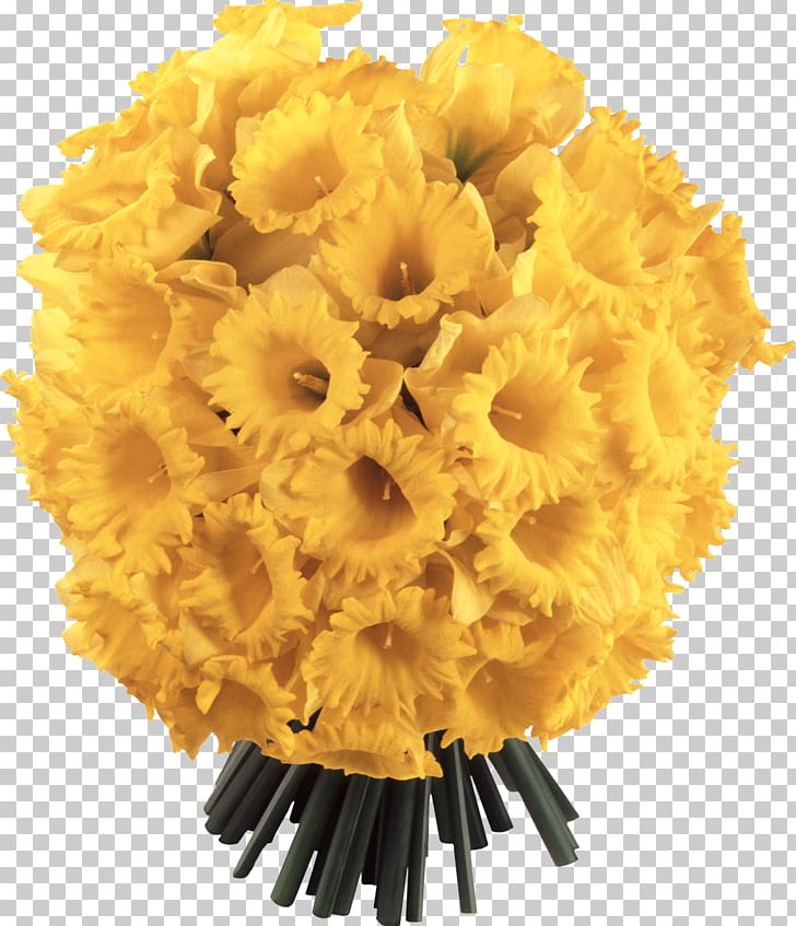Flower Daffodil Desktop PNG, Clipart, Common Sunflower, Cut Flowers, Daffodil, Dandelion, Desktop Wallpaper Free PNG Download