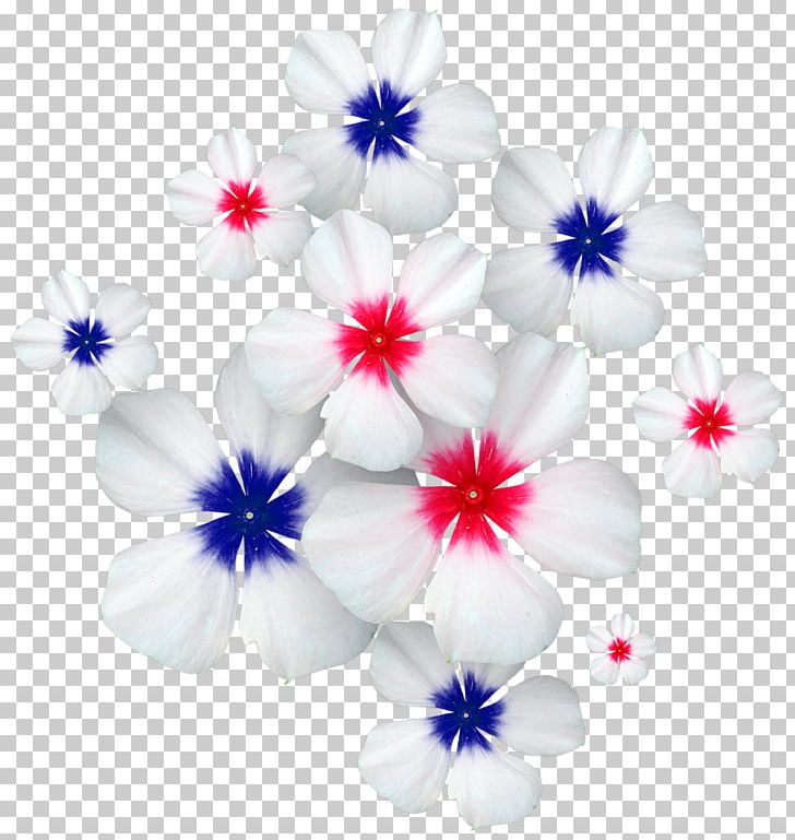 Flower PNG, Clipart, Blue, Borage Family, Cicek, Clip Art, Drawing Free PNG Download