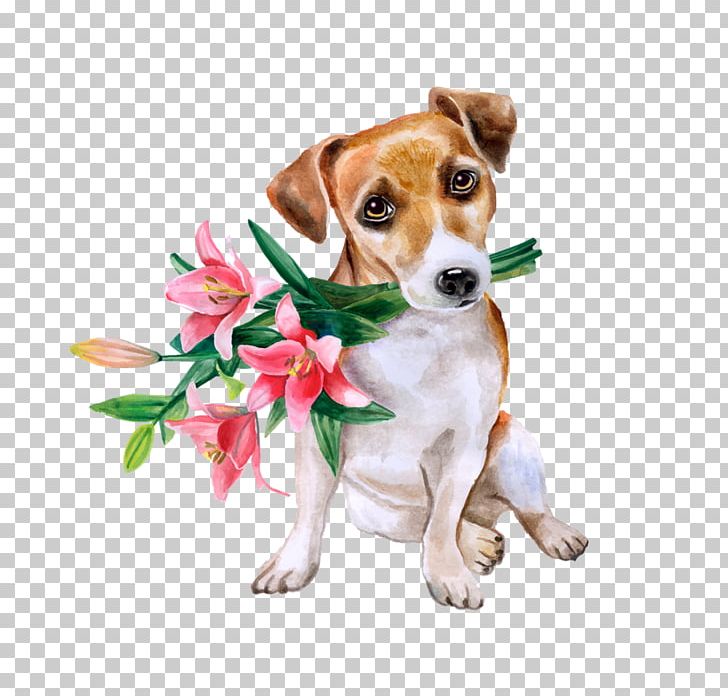 Jack Russell Terrier Flower Bouquet Beagle Floral Design PNG, Clipart, Animal, Birthday, Card, Carnivoran, Companion Dog Free PNG Download