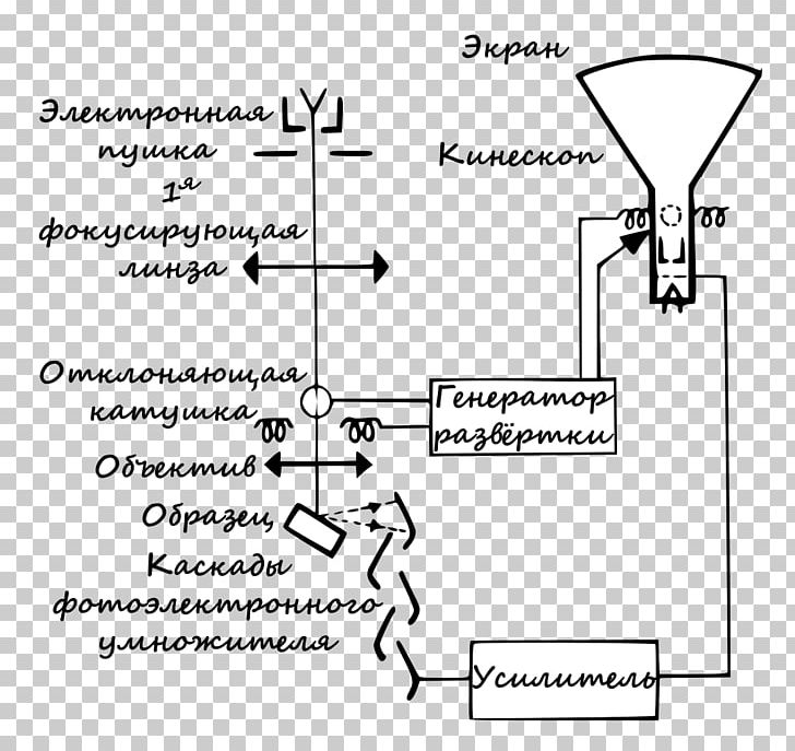 Scanning Electron Microscope Microscopy Optical Microscope PNG, Clipart, Angle, Digital Image, Electron, Material, Microscope Free PNG Download