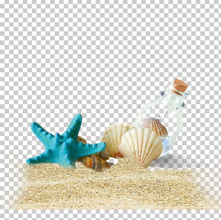 Shell Beach Bottle PNG, Clipart, Beach, Beach Style, Bottle, Computer Graphics, Conch Free PNG Download