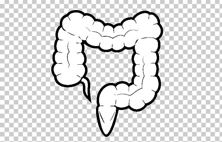 large intestine drawing