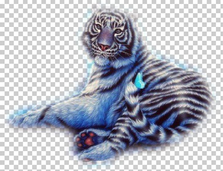 Baby Tigers Felidae Cat Lion PNG, Clipart, Animal, Animals, Art, Baby Tigers, Big Cat Free PNG Download