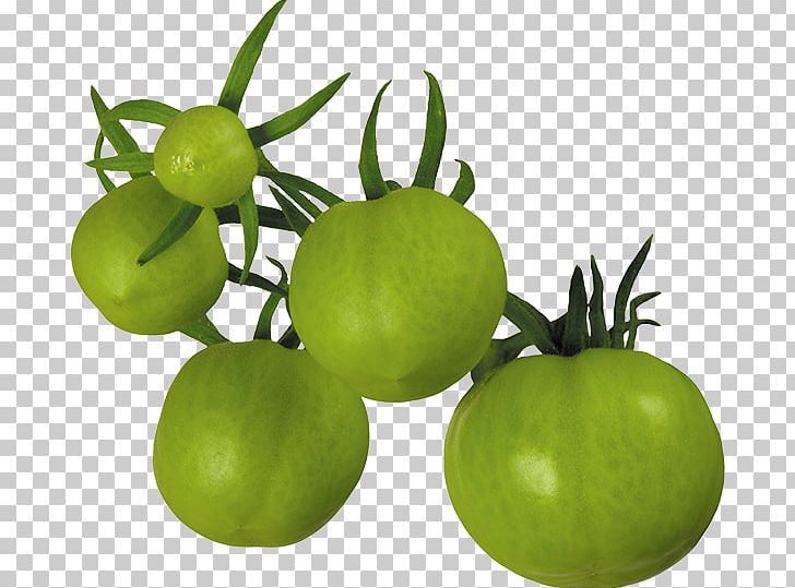 Fried Green Tomatoes Tomato Juice Tomatillo PNG, Clipart, Bush Tomato, Computer Icons, Domates, Food, Fried Green Tomatoes Free PNG Download