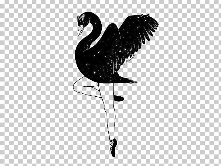 IPhone X Art Drawing Illustration PNG, Clipart, Animals, Background Black, Ballet, Beak, Bird Free PNG Download