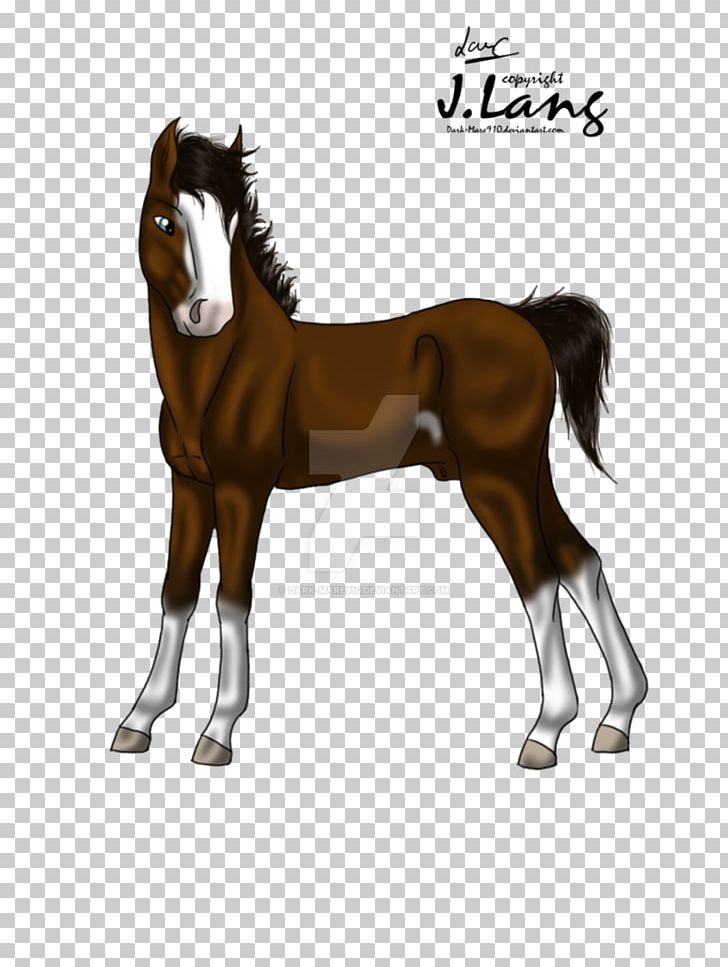 Stallion Foal Halter Mare Colt PNG, Clipart, Bridle, Colt, English Riding, Equestrian, Foal Free PNG Download