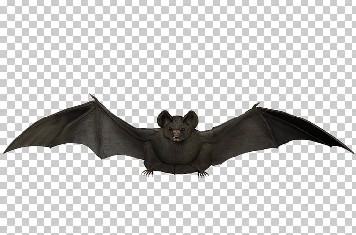 Batman Visual Arts Flight PNG, Clipart, Animals, Art, Bat, Batman, Bats Free PNG Download
