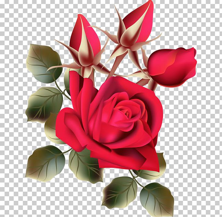 Beach Rose Flower Garden Roses PNG, Clipart, Artificial Flower, Encapsulated Postscript, Excuse Me, Flower, Flower Arranging Free PNG Download