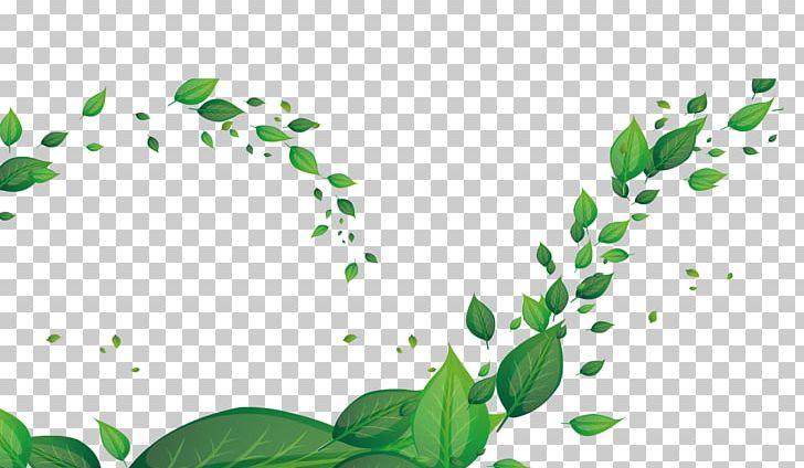 Leaf Green Fundal PNG, Clipart, Area, Autumn Leaves, Banana Leaves, Download, Encapsulated Postscript Free PNG Download