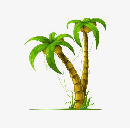Green Coconut Trees PNG, Clipart, Coconut, Coconut Clipart, Coconut Clipart, Green, Green Clipart Free PNG Download