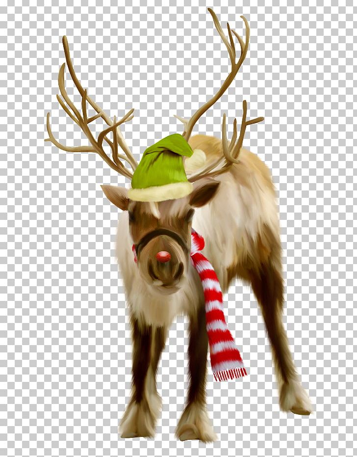 Reindeer PNG, Clipart, Antler, Cartoon, Christmas, Christmas Ornament, Deer Free PNG Download