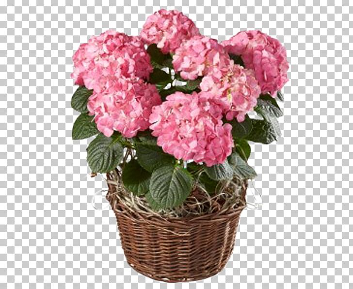 Hydrangea Switzerland Flower Floristry Interflora PNG, Clipart, Annual Plant, Balcony, Bloemisterij, Cornales, Cut Flowers Free PNG Download