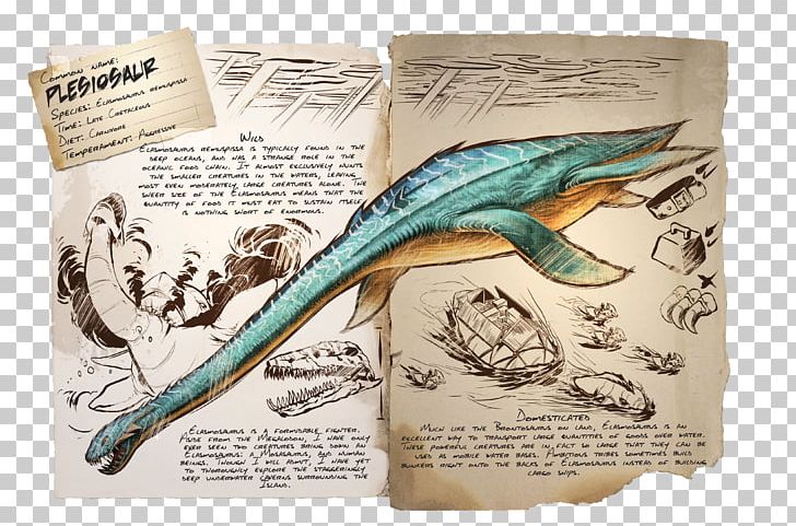 Plesiosauria ARK: Survival Evolved Elasmosaurus Spinosaurus Reptile PNG, Clipart, Ark Survival Evolved, Carnivore, Dinosaur, Elasmosaurus, Fantasy Free PNG Download