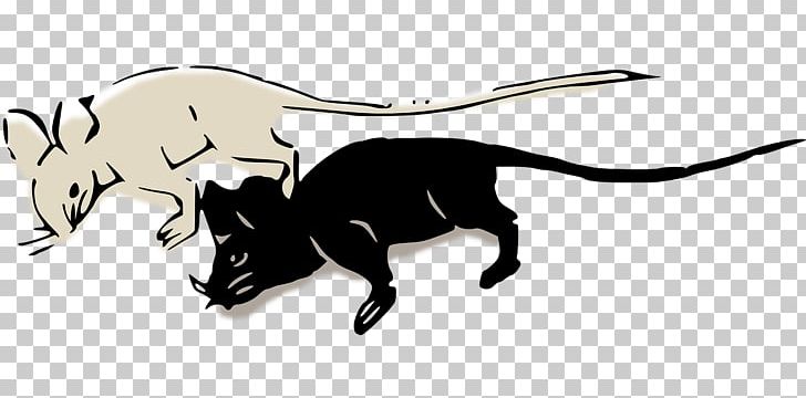 Computer Mouse Rat PNG, Clipart, Animal, Animals, Art, Black And White, Carnivoran Free PNG Download