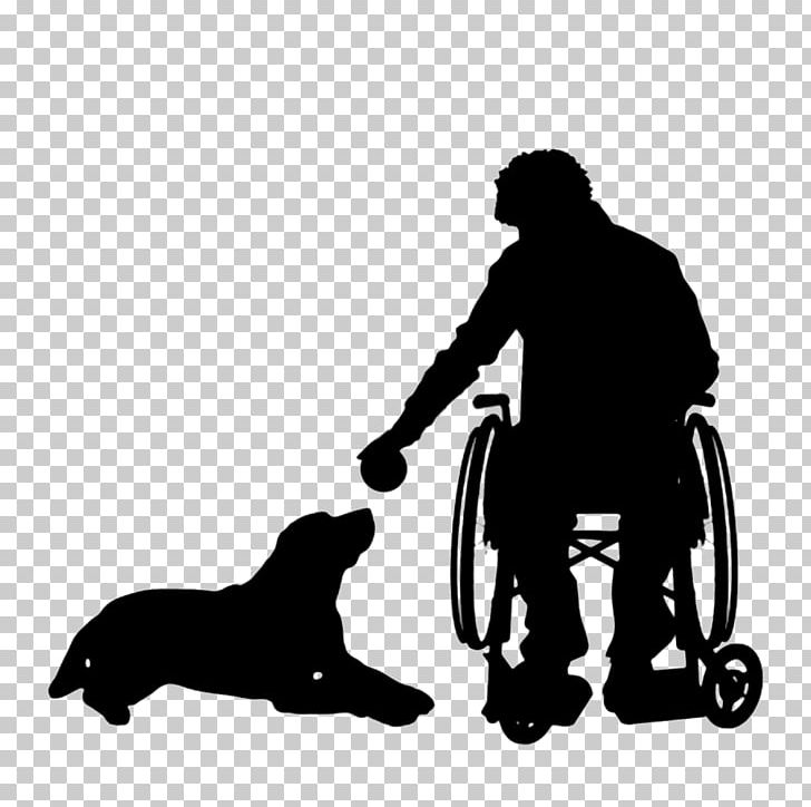 Dog Wheelchair Disability PNG, Clipart, Animals, Black, Black And White, Carnivoran, Chien Free PNG Download