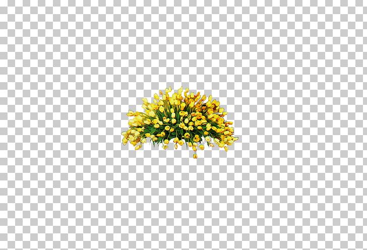 Flower Bouquet Nosegay PNG, Clipart, Bouquet Of Flowers, Data, Data Compression, Designer, Flower Free PNG Download
