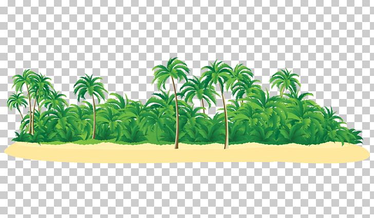 Palm Islands Tropical Islands Resort Hawaii PNG, Clipart, Arecaceae, Background Green, Beach, Beaches, Coconut Free PNG Download