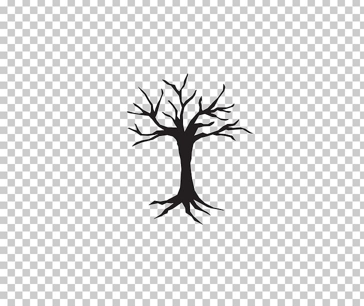Tree Stump Trunk Sciadopitys PNG, Clipart, Ash, Black And White, Bonsai, Branch, Clip Art Free PNG Download