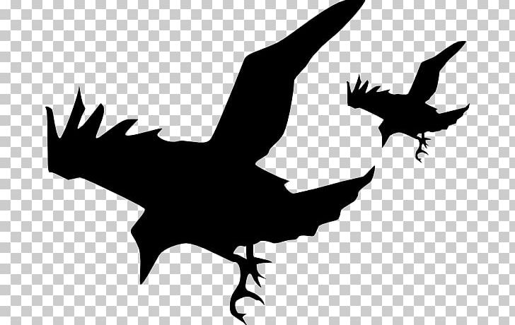 Common Raven Bird American Crow Silhouette PNG, Clipart, American Crow, Beak, Bird, Bird Of Prey, Black And White Free PNG Download