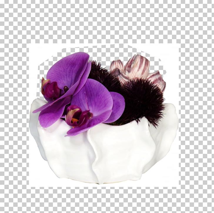 Cut Flowers Petal PNG, Clipart, Cut Flowers, Flower, Others, Petal, Purple Free PNG Download