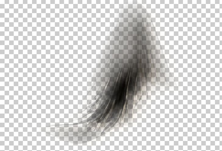 Long Hair Fur Tail White PNG, Clipart, Black And White, Fur, Hair, Long Hair, People Free PNG Download
