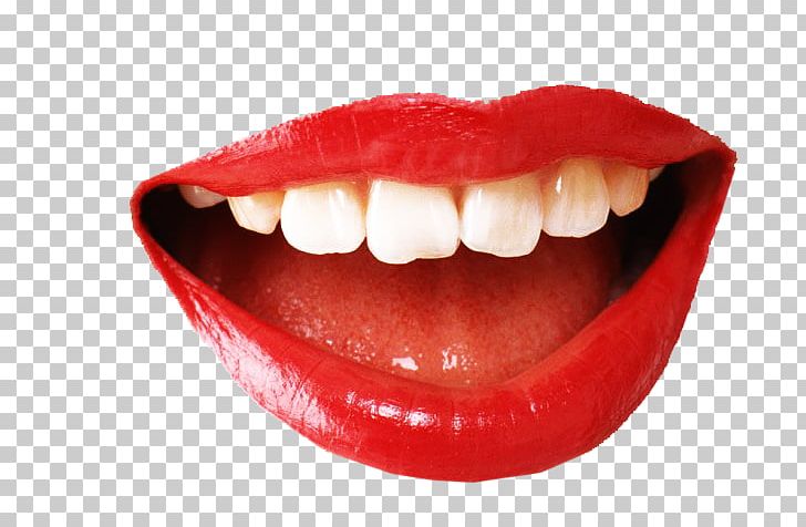 Mouth Smile PNG, Clipart, Mouth Smile Free PNG Download