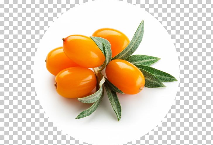 Seaberry Oil Photography PNG, Clipart, Berry, Buckthorn, Citrus, Cosmetics, Food Free PNG Download