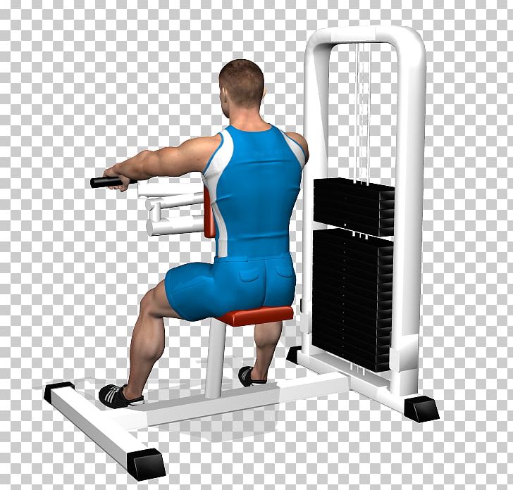 Shoulder Physical Fitness Weight Training Human Back Muscle PNG, Clipart, Abdomen, Arm, Balance, Bench, Exercise Free PNG Download