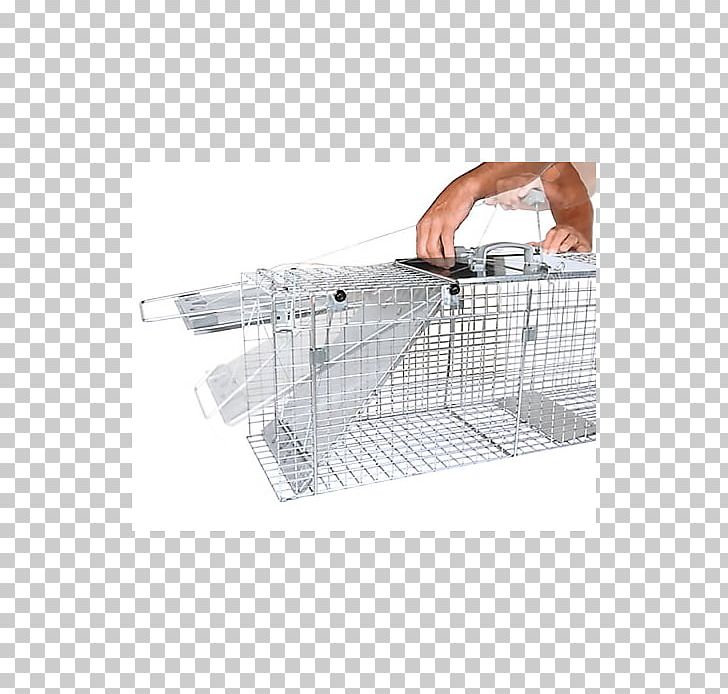Trapping Raccoon Cage Door Mousetrap PNG, Clipart, Angle, Animals, Cage, Door, Fish Trap Free PNG Download