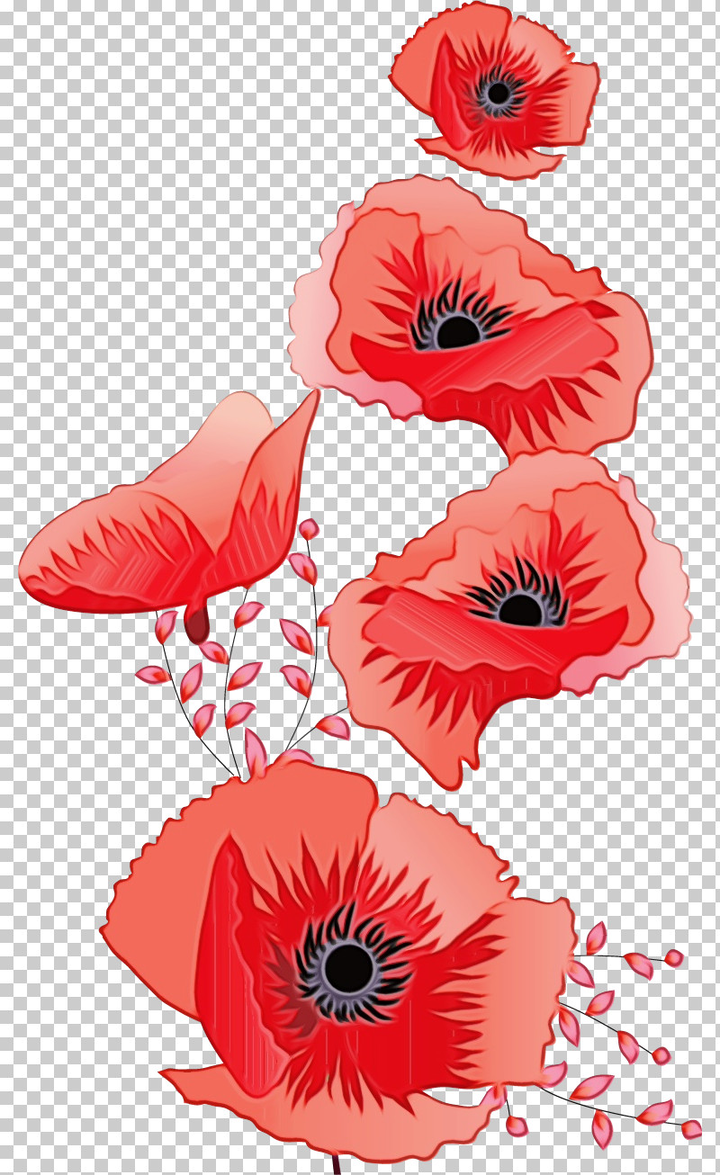 Oriental Poppy Flower Red Plant Corn Poppy PNG, Clipart, Coquelicot, Corn Poppy, Floral Line, Flower, Flower Background Free PNG Download