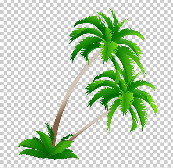 Arecaceae Coconut Tree PNG, Clipart, Arecaceae, Arecales, Autumn Tree, Beach, Christmas Tree Free PNG Download