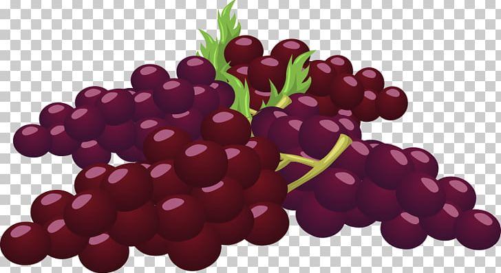 Common Grape Vine PNG, Clipart, Berry, Boysenberry, Common Grape Vine, Cranberry, Food Free PNG Download