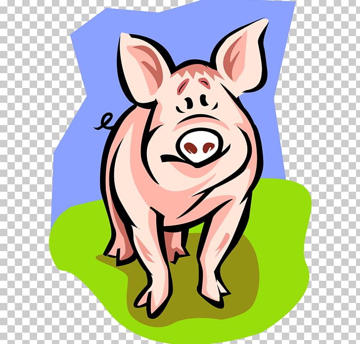 Domestic Pig Fetal Pig Pig Farming Dissection PNG, Clipart, Anatomy, Animals, Artwork, Biology, Castration Free PNG Download