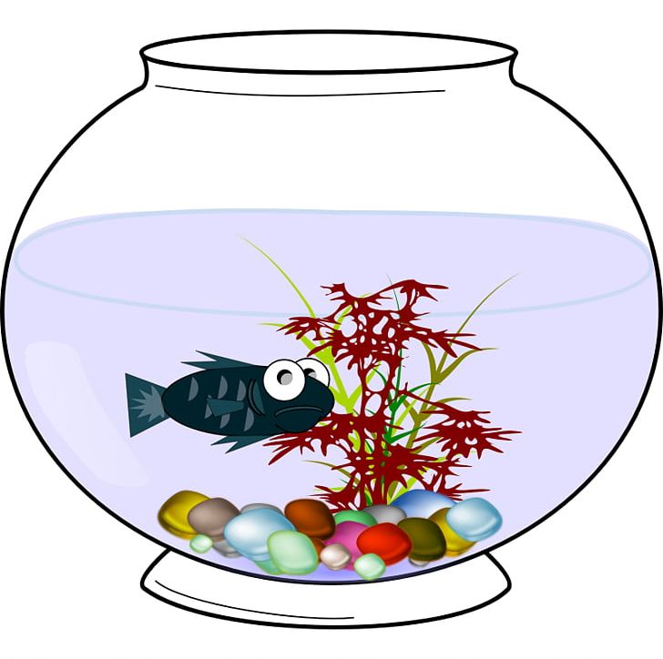 Goldfish Bowl PNG, Clipart, Aquarium, Artwork, Bowl, Drawing, Drinkware Free PNG Download