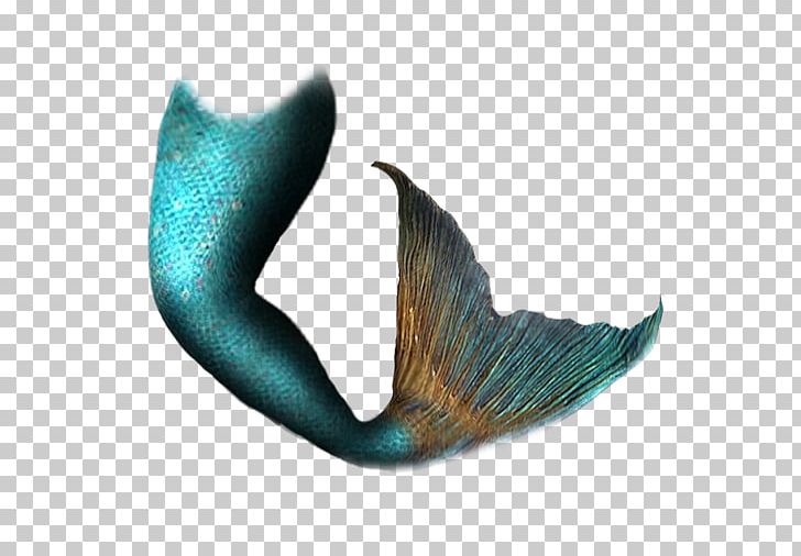 Mermaid Tail Png 9 by Gareng92 on DeviantArt